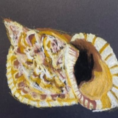 thumbnailIMG9048, Oil pastel of a shell